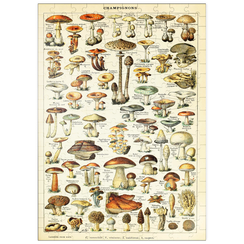 puzzleplate Champignons - Mushrooms For All, Vintage Art Poster, Adolphe Millot 200 Puzzle