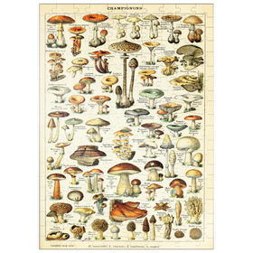 Darstellung des Puzzle Motivs Champignons - Pilze für Alle, Vintage Art Poster, Adolphe Millot - Puzzleteile: 200