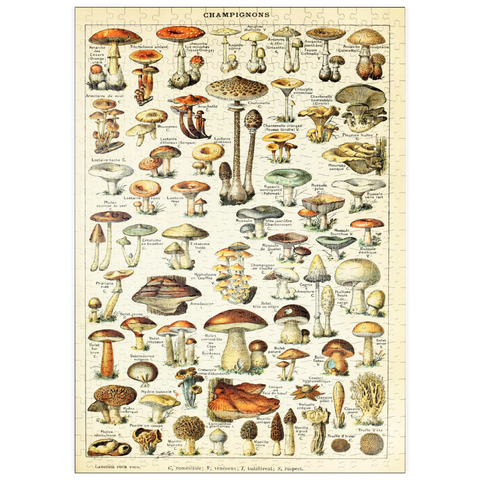 puzzleplate Champignons - Pilze für Alle, Vintage Art Poster, Adolphe Millot 500 Puzzle