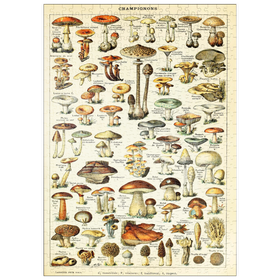 Darstellung des Puzzle Motivs Champignons - Pilze für Alle, Vintage Art Poster, Adolphe Millot - Puzzleteile: 500