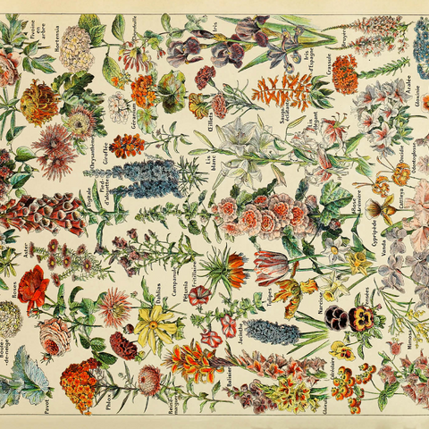 Fleurs - Blumen für Alle, Vintage Art Poster, Adolphe Millot 1000 Puzzle 3D Modell
