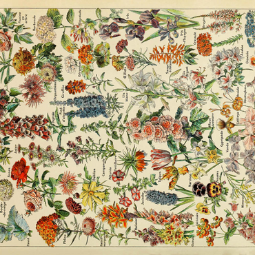 Fleurs - Blumen für Alle, Vintage Art Poster, Adolphe Millot 200 Puzzle 3D Modell