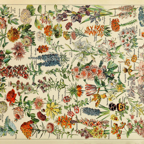 Fleurs - Blumen für Alle, Vintage Art Poster, Adolphe Millot 500 Puzzle 3D Modell