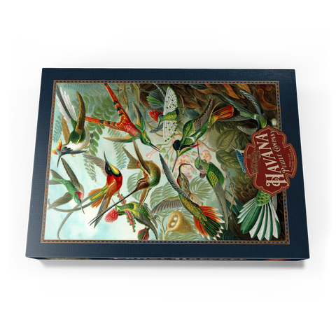 Hummingbirds and Trochilidae (Kolibris), Vintage Art Poster, Ernst Haeckel 1000 Puzzle Schachtel Ansicht3