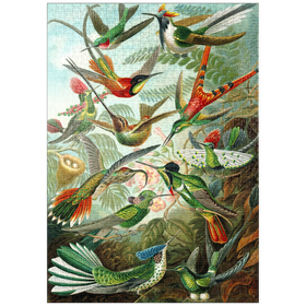 Darstellung des Puzzle-Motivs Hummingbirds and Trochilidae (Kolibris), Vintage Art Poster, Ernst Haeckel – Puzzleteile: 1000