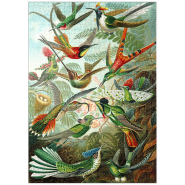 puzzleplate Hummingbirds and Trochilidae (Kolibris), Vintage Art Poster, Ernst Haeckel 1000 Puzzle