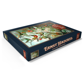Darstellung des Puzzle Motivs Hummingbirds and Trochilidae (Kolibris), Vintage Art Poster, Ernst Haeckel - Puzzleteile: 100