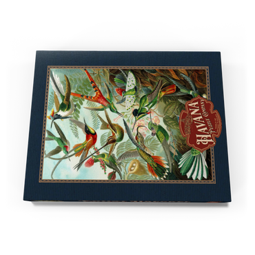 Hummingbirds and Trochilidae (Kolibris), Vintage Art Poster, Ernst Haeckel 100 Puzzle Schachtel Ansicht3
