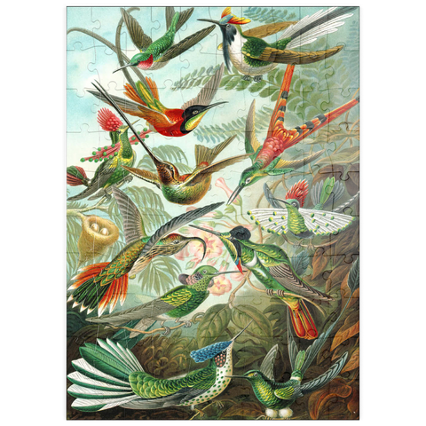 puzzleplate Hummingbirds and Trochilidae (Kolibris), Vintage Art Poster, Ernst Haeckel 100 Puzzle