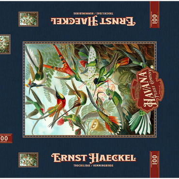 Hummingbirds and Trochilidae (Kolibris), Vintage Art Poster, Ernst Haeckel 100 Puzzle Schachtel 3D Modell