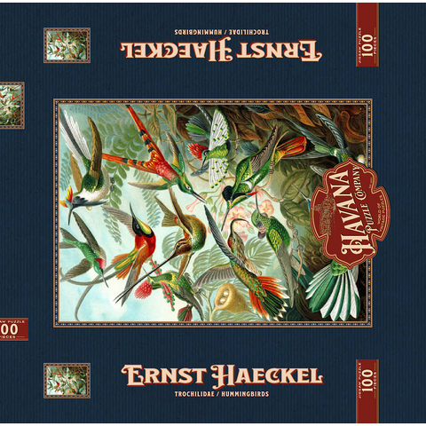 Hummingbirds and Trochilidae (Kolibris), Vintage Art Poster, Ernst Haeckel 100 Puzzle Schachtel 3D Modell