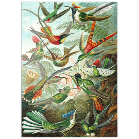 Darstellung des Puzzle Motivs Hummingbirds and Trochilidae (Kolibris), Vintage Art Poster, Ernst Haeckel - Puzzleteile: 200