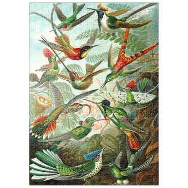 puzzleplate Hummingbirds and Trochilidae (Kolibris), Vintage Art Poster, Ernst Haeckel 500 Puzzle
