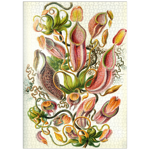 puzzleplate Nepenthaceae - Pitcher Plant, Vintage Art Poster, Ernst Haeckel 1000 Puzzle