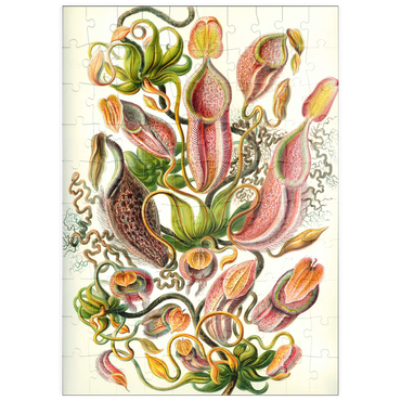 puzzleplate Nepenthaceae - Pitcher Plant, Vintage Art Poster, Ernst Haeckel 100 Puzzle