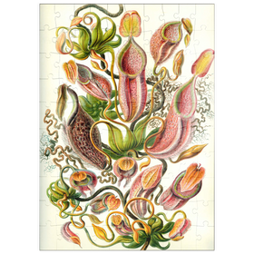 Darstellung des Puzzle Motivs Nepenthaceae - Kannenpflanze, Vintage Art Poster, Ernst Haeckel - Puzzleteile: 100