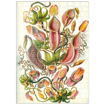 puzzleplate Nepenthaceae - Pitcher Plant, Vintage Art Poster, Ernst Haeckel 200 Puzzle
