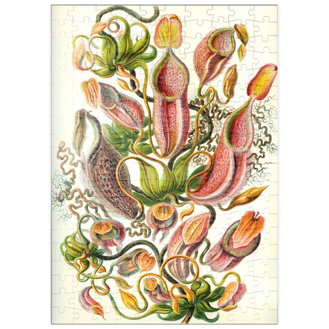 puzzleplate Nepenthaceae - Pitcher Plant, Vintage Art Poster, Ernst Haeckel 200 Puzzle