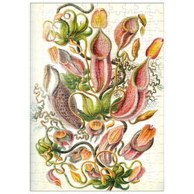 Darstellung des Puzzle Motivs Nepenthaceae - Kannenpflanze, Vintage Art Poster, Ernst Haeckel - Puzzleteile: 200