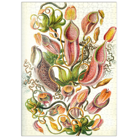 puzzleplate Nepenthaceae - Pitcher Plant, Vintage Art Poster, Ernst Haeckel 500 Puzzle