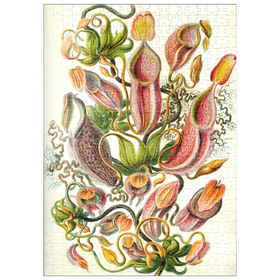 Darstellung des Puzzle Motivs Nepenthaceae - Kannenpflanze, Vintage Art Poster, Ernst Haeckel - Puzzleteile: 500