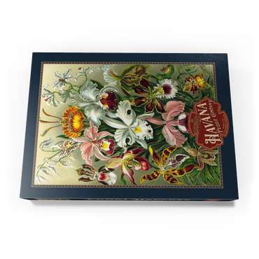 Orchid - Nature Art Forms, Vintage Art Poster, Ernst Haeckel 1000 Puzzle Schachtel Ansicht3