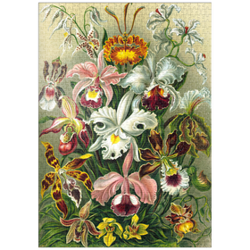 Darstellung des Puzzle-Motivs Orchidee - Kunstformen der Natur, Vintage Art Poster, Ernst Haeckel – Puzzleteile: 1000