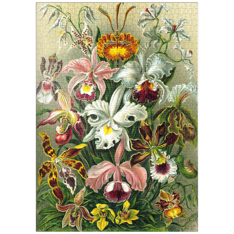 puzzleplate Orchid - Nature Art Forms, Vintage Art Poster, Ernst Haeckel 1000 Puzzle
