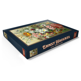 Alternative Darstellung des Puzzle-Motivs Orchidee - Kunstformen der Natur, Vintage Art Poster, Ernst Haeckel – Puzzleteile: 100