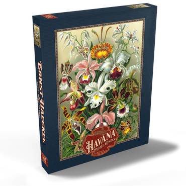 Orchid - Nature Art Forms, Vintage Art Poster, Ernst Haeckel 100 Puzzle Schachtel Ansicht2