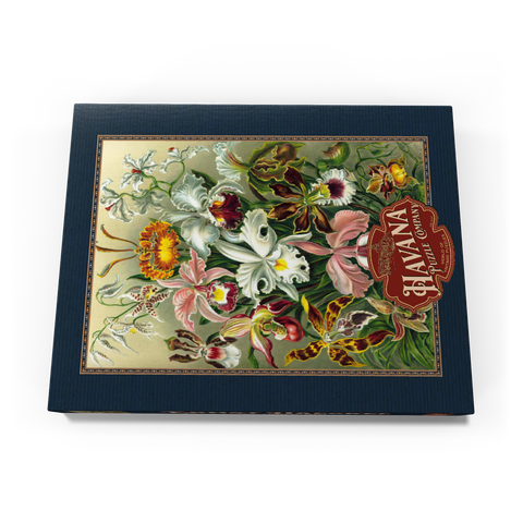 Orchid - Nature Art Forms, Vintage Art Poster, Ernst Haeckel 100 Puzzle Schachtel Ansicht3