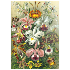 Darstellung des Puzzle Motivs Orchidee - Kunstformen der Natur, Vintage Art Poster, Ernst Haeckel - Puzzleteile: 100