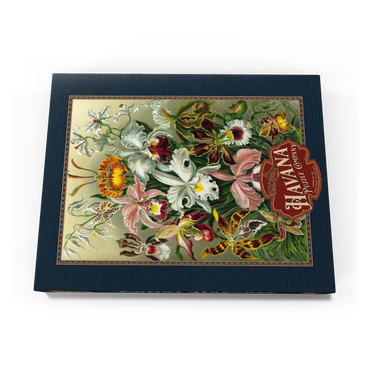 Orchid - Nature Art Forms, Vintage Art Poster, Ernst Haeckel 200 Puzzle Schachtel Ansicht3