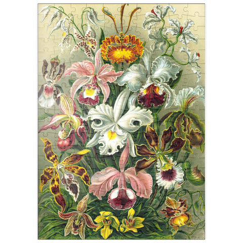 puzzleplate Orchid - Nature Art Forms, Vintage Art Poster, Ernst Haeckel 200 Puzzle