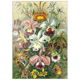 Darstellung des Puzzle Motivs Orchidee - Kunstformen der Natur, Vintage Art Poster, Ernst Haeckel - Puzzleteile: 200