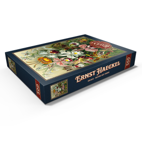 Darstellung des Puzzle Motivs Orchidee - Kunstformen der Natur, Vintage Art Poster, Ernst Haeckel - Puzzleteile: 500