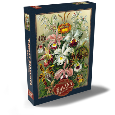 Orchid - Nature Art Forms, Vintage Art Poster, Ernst Haeckel 500 Puzzle Schachtel Ansicht2