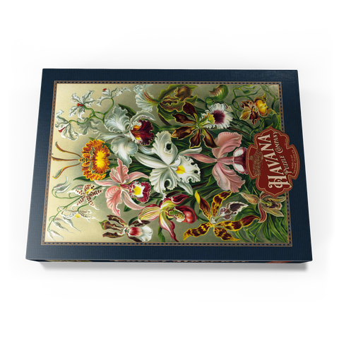Orchid - Nature Art Forms, Vintage Art Poster, Ernst Haeckel 500 Puzzle Schachtel Ansicht3