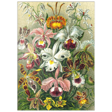 puzzleplate Orchid - Nature Art Forms, Vintage Art Poster, Ernst Haeckel 500 Puzzle