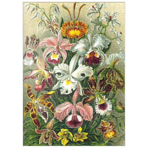 puzzleplate Orchid - Nature Art Forms, Vintage Art Poster, Ernst Haeckel 500 Puzzle