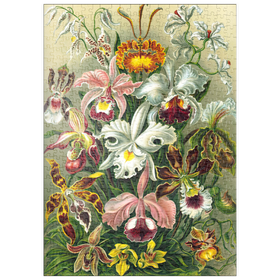 Darstellung des Puzzle Motivs Orchidee - Kunstformen der Natur, Vintage Art Poster, Ernst Haeckel - Puzzleteile: 500