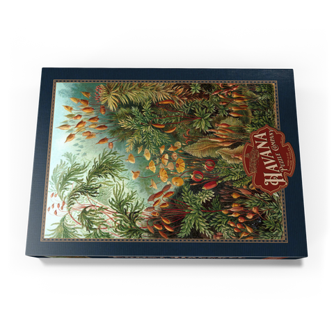 Moss (Muscinae) - Art Forms in Nature, Vintage Art Poster, Ernst Haeckel 1000 Puzzle Schachtel Ansicht3