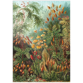 Darstellung des Puzzle-Motivs Moss (Muscinae) - Kunstformen in der Natur, Vintage Art Poster, Ernst Haeckel – Puzzleteile: 1000