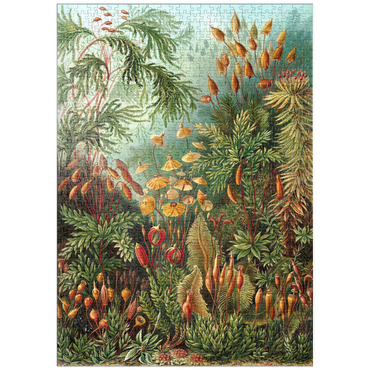 puzzleplate Moss (Muscinae) - Art Forms in Nature, Vintage Art Poster, Ernst Haeckel 1000 Puzzle