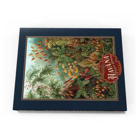 Moss (Muscinae) - Art Forms in Nature, Vintage Art Poster, Ernst Haeckel 100 Puzzle Schachtel Ansicht3