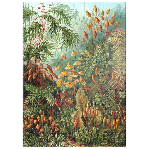 puzzleplate Moss (Muscinae) - Art Forms in Nature, Vintage Art Poster, Ernst Haeckel 100 Puzzle