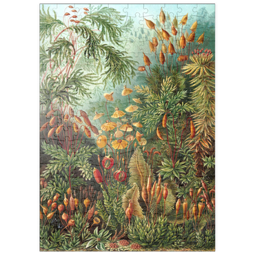 puzzleplate Moss (Muscinae) - Art Forms in Nature, Vintage Art Poster, Ernst Haeckel 200 Puzzle