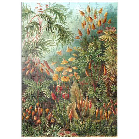 puzzleplate Moss (Muscinae) - Art Forms in Nature, Vintage Art Poster, Ernst Haeckel 200 Puzzle