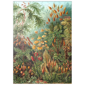 Darstellung des Puzzle Motivs Moss (Muscinae) - Kunstformen in der Natur, Vintage Art Poster, Ernst Haeckel - Puzzleteile: 200
