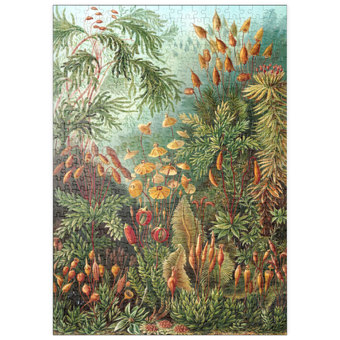puzzleplate Moss (Muscinae) - Art Forms in Nature, Vintage Art Poster, Ernst Haeckel 500 Puzzle